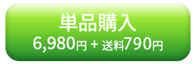 単品購入　6,980円 +送料790円