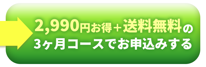 3ヶ月コース