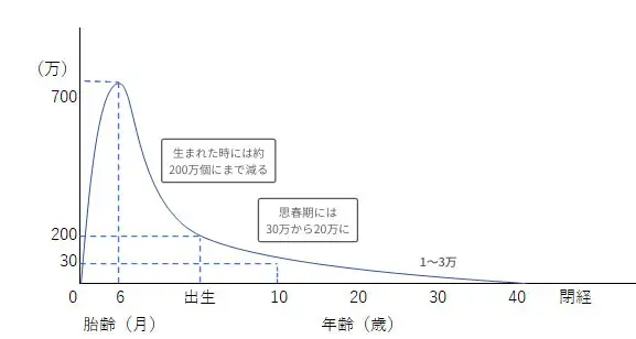 ジオアップ